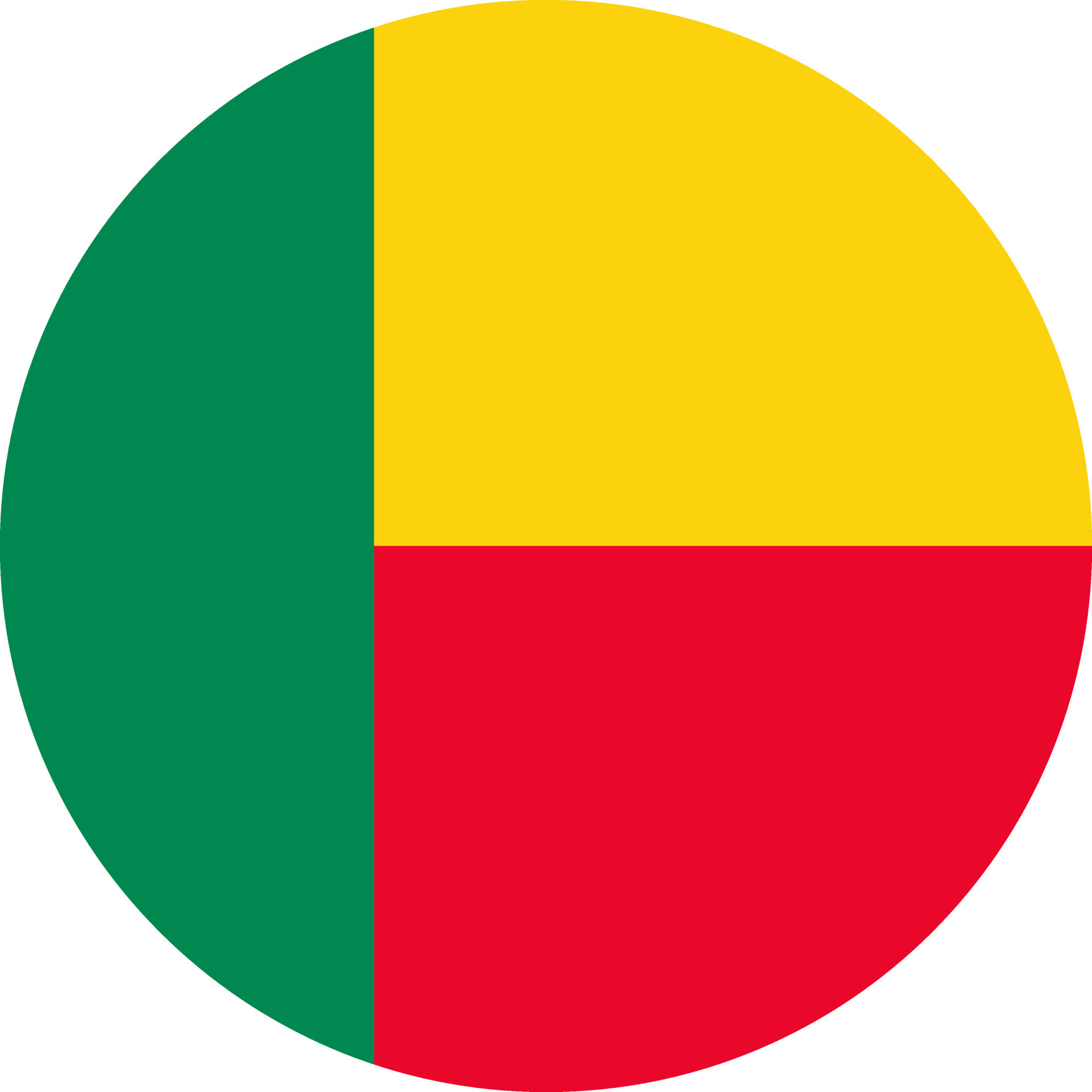 24310436-rond-beninois-drapeau-de-benin-vectoriel.jpg